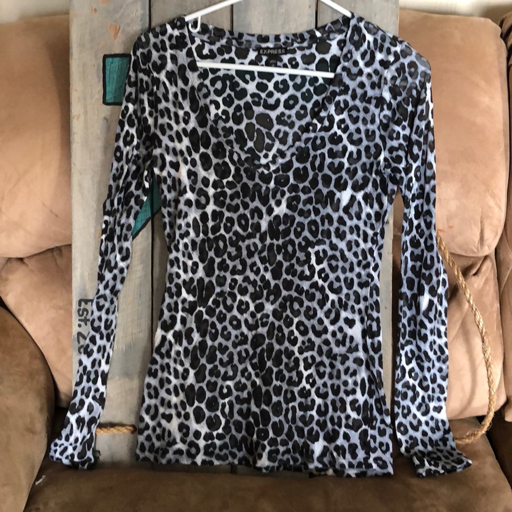 Express sheer long sleeve leopard print top